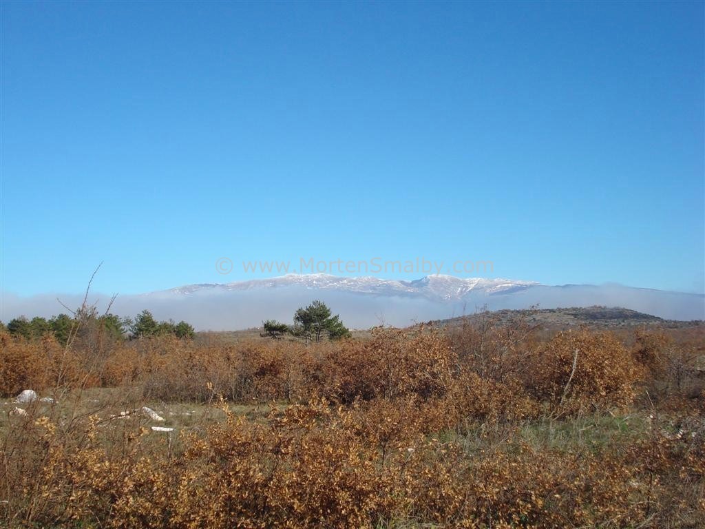 black girl mina moutains