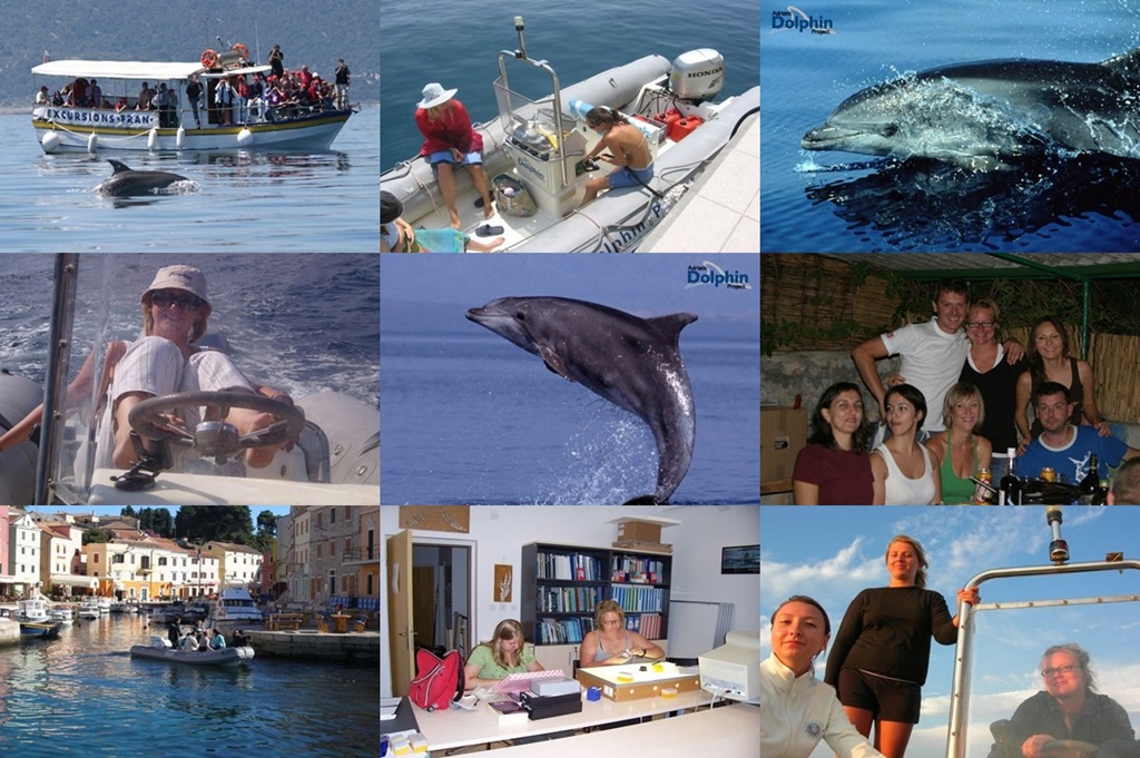 Work for protecting the dolphins in Croatia