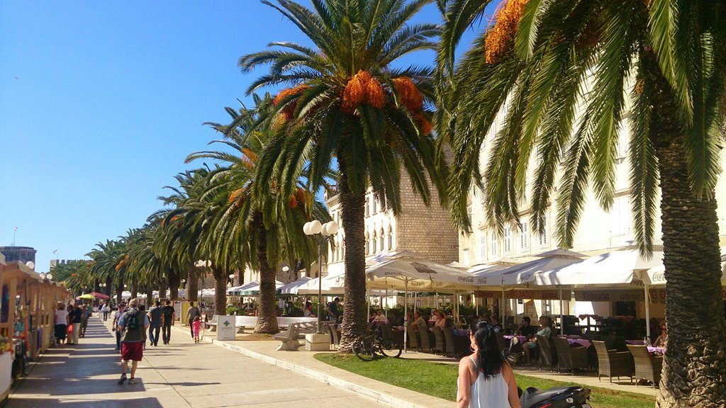 Riva Trogir