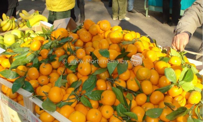 Croatian fruits and vegetables img