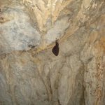 cave_vranjaca_6