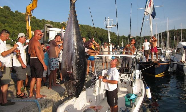 “BIG GAME” – sport fishing img