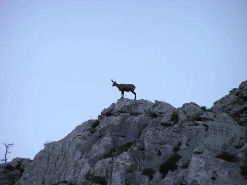 National park Sjeverni Velebit Croatia (3)