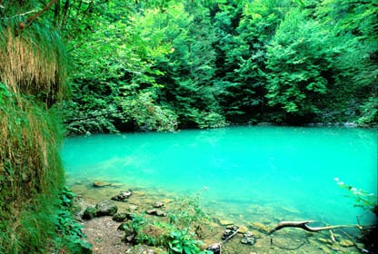 National park Risnjak Croatia (4)