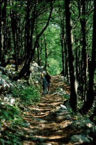 National park Risnjak Croatia (6)