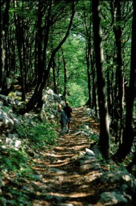 National park Risnjak Croatia (6)