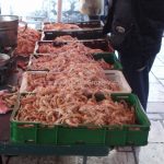 Fish market in Split (3)