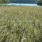 Plitvice upper lake