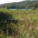 Plitvice upper lake