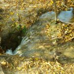 Plitvice water disappering in a hole