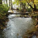 Plitvice waterfall in the woods