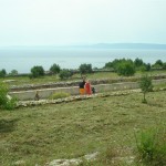 Agroturism on island Brac