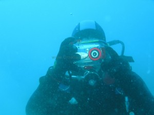 Diver Croatia