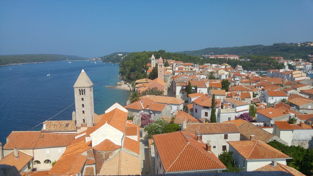 Picture of Rab